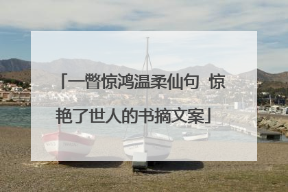 一瞥惊鸿温柔仙句 惊艳了世人的书摘文案