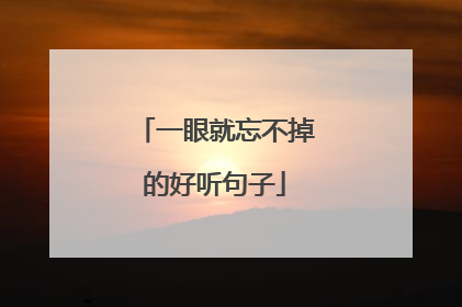 一眼就忘不掉的好听句子
