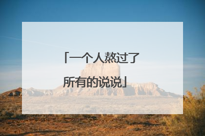 一个人熬过了所有的说说