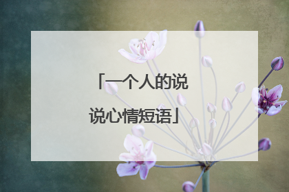 一个人的说说心情短语