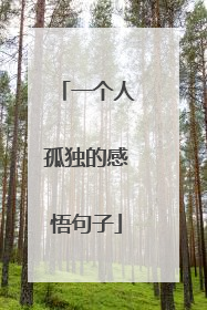 一个人孤独的感悟句子