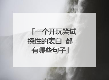 一个开玩笑试探性的表白 都有哪些句子