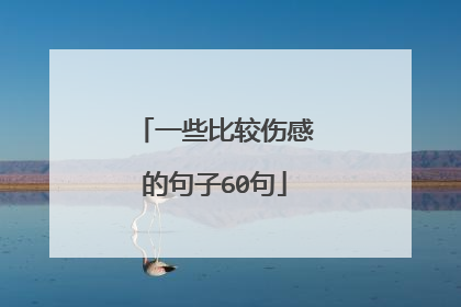 一些比较伤感的句子60句