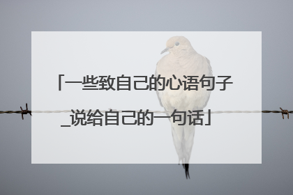 一些致自己的心语句子_说给自己的一句话