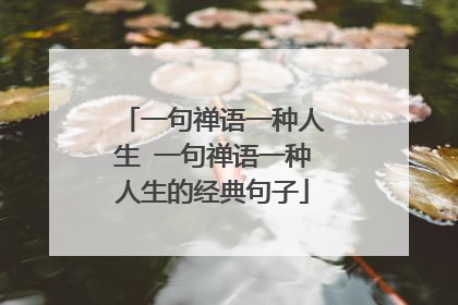 一句禅语一种人生 一句禅语一种人生的经典句子