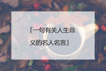 一句有关人生意义的名人名言
