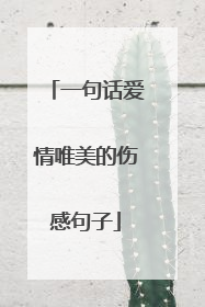 一句话爱情唯美的伤感句子