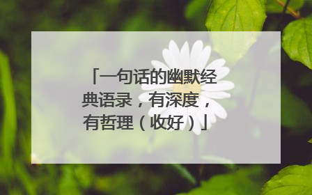 一句话的幽默经典语录,有深度,有哲理(收好)