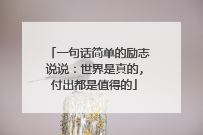 一句话简单的励志说说:世界是真的,付出都是值得的