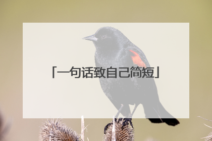 一句话致自己简短