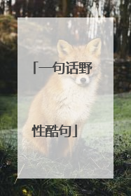 一句话野性酷句