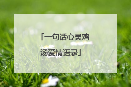一句话心灵鸡汤爱情语录