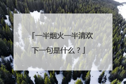 一半烟火一半清欢下一句是什么?