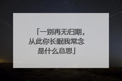 一别再无归期,从此你长眠我常念是什么意思