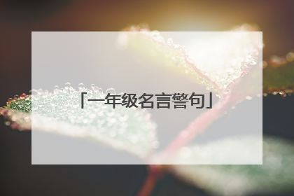 一年级名言警句