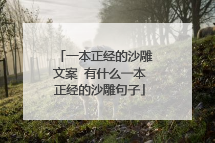 一本正经的沙雕文案 有什么一本正经的沙雕句子