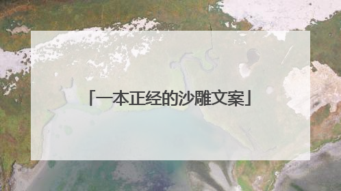 一本正经的沙雕文案