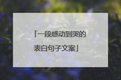 一段感动到哭的表白句子文案