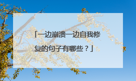 一边崩溃一边自我修复的句子有哪些?