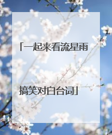 一起来看流星雨搞笑对白台词