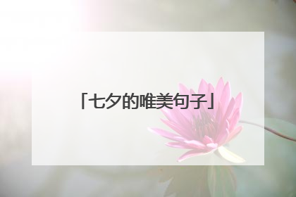 七夕的唯美句子