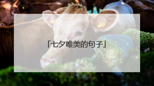 七夕唯美的句子