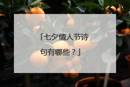 七夕情人节诗句有哪些?