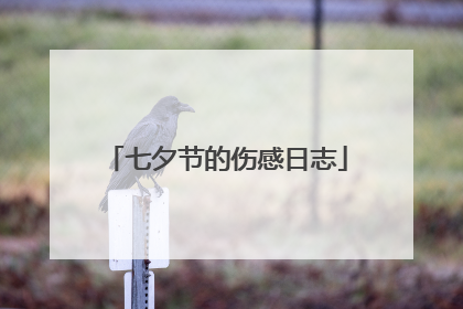 七夕节的伤感日志