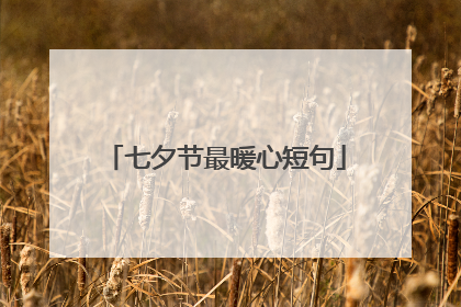 七夕节最暖心短句