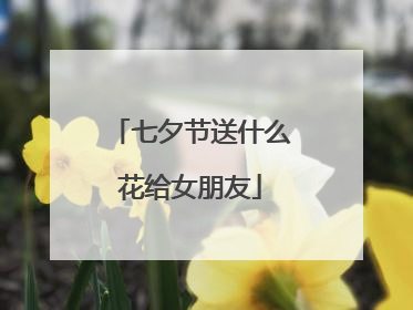 七夕节送什么花给女朋友