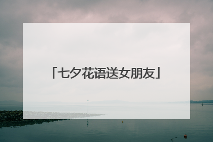 七夕花语送女朋友