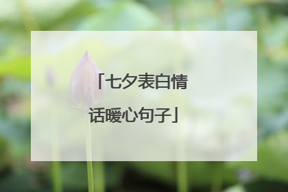 七夕表白情话暖心句子