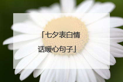 七夕表白情话暖心句子