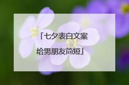 七夕表白文案给男朋友简短