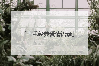 三毛经典爱情语录