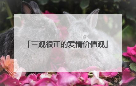 三观很正的爱情价值观