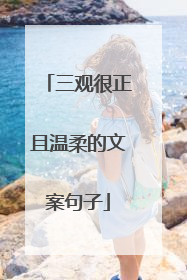 三观很正且温柔的文案句子