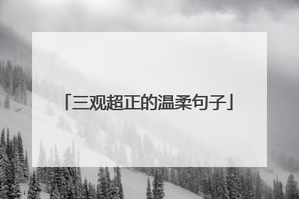三观超正的温柔句子