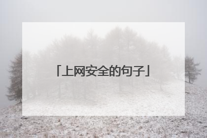 上网安全的句子
