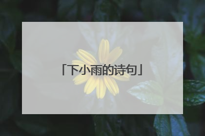 下小雨的诗句