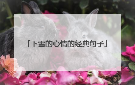 下雪的心情的经典句子