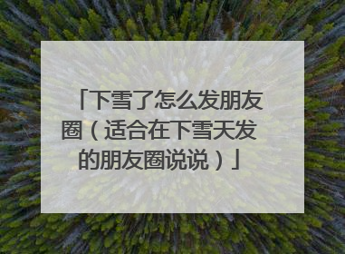 下雪了怎么发朋友圈（适合在下雪天发的朋友圈说说）