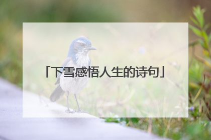 下雪感悟人生的诗句
