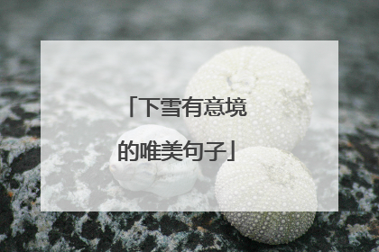 下雪有意境的唯美句子