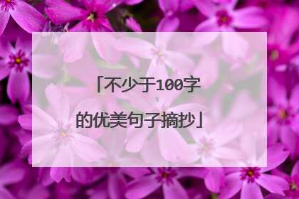 不少于100字的优美句子摘抄