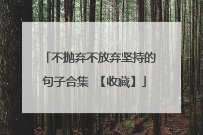不抛弃不放弃坚持的句子合集 【收藏】