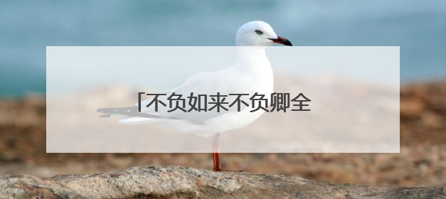 不负如来不负卿全诗解释是什么?
