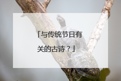 与传统节日有关的古诗？