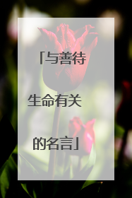 与善待生命有关的名言