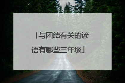 与团结有关的谚语有哪些三年级